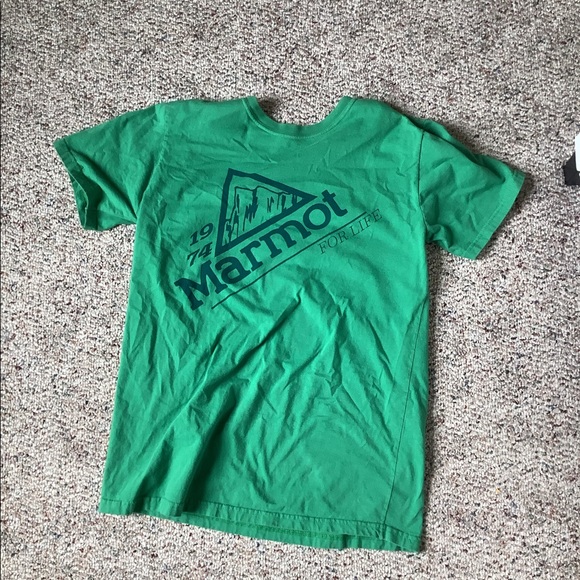 Marmot - Picture 1 of 1